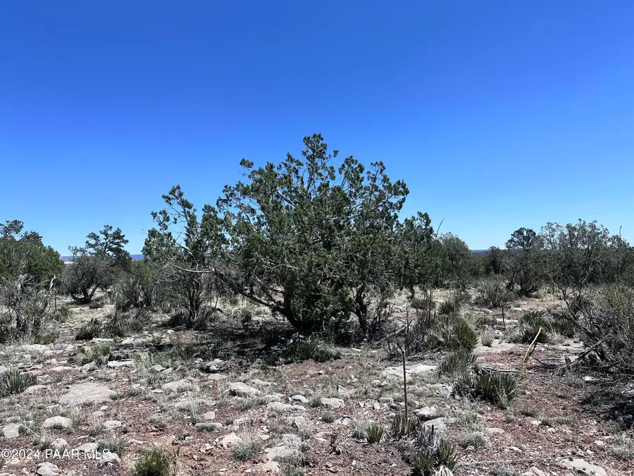 J Peacefull Hill Road, Seligman, AZ 86337 - Image #2