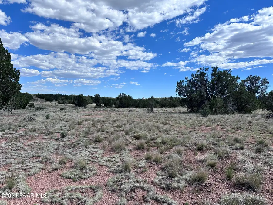 31632 W Sundown Drive, Seligman, AZ 86337 - #3