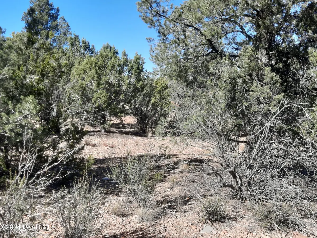 Lot 3408 W Dulce Ln, Seligman, AZ 86337 - Image #1
