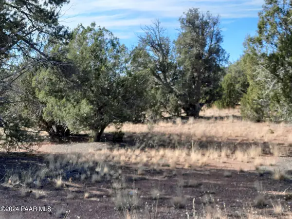 31616 W Calle Barril, Seligman, AZ 86337