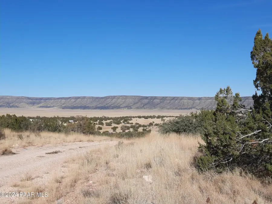 58573 N Calle Vaca, Seligman, AZ 86337 - Image #2