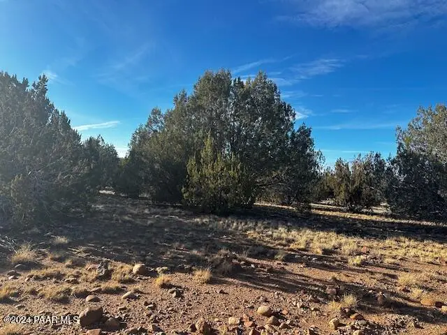 37916=A W Howling Coyote Road, Seligman, AZ 86337 - Image #3