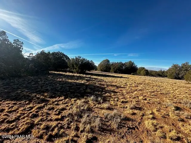 37916=B W Howling Coyote Road, Seligman, AZ 86337 - Image #3