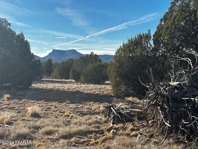 37916-C W Howling Coyote Road, Seligman, AZ 86337 - Image #2