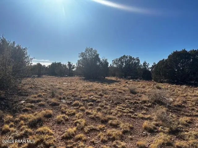 234nw Brothers Road, Seligman, AZ 86337 - Image #2