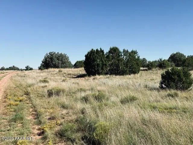 265 Rocky Top Road, Seligman, AZ 86337 - Image #3