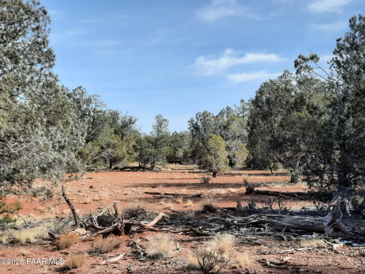 55163 N Campana Circle, Seligman, AZ 86337 - Image #1