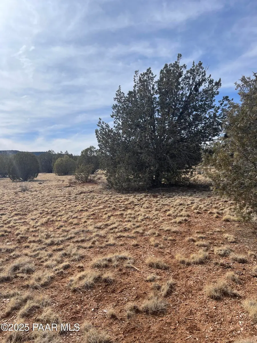 54372 N Via De Oro Parkway, Seligman, AZ 86337 - Image #2