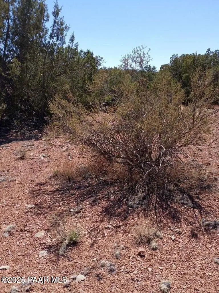 55899 N Val Vista Road, Seligman, AZ 86337 - Image #2