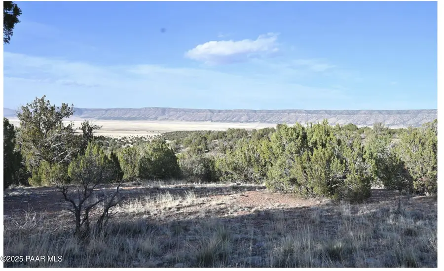 31495 Buena Tierra, Seligman, AZ 86337 - Image #3