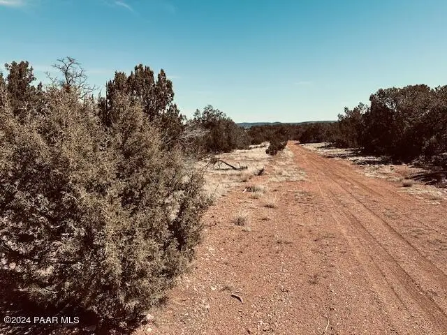 31254 Abeja, Seligman, AZ 86337 - Image #3