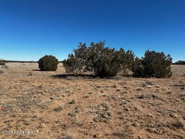 53389 N Carlita, Seligman, AZ 86337 - Image #2