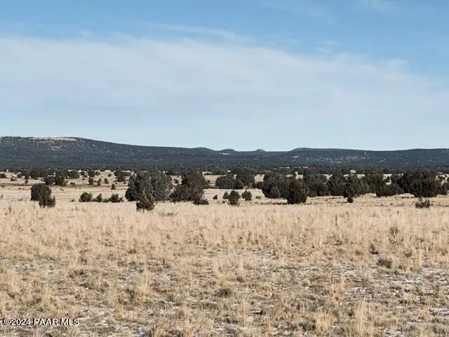 98-C Ten Tanks Road, Ash Fork, AZ 86320 - Image #3