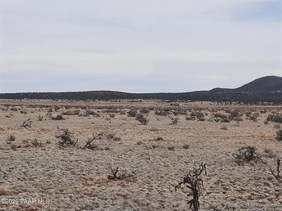 Lot 1104 Off Happy Valley Rd, Seligman, AZ 86337 - Image #3