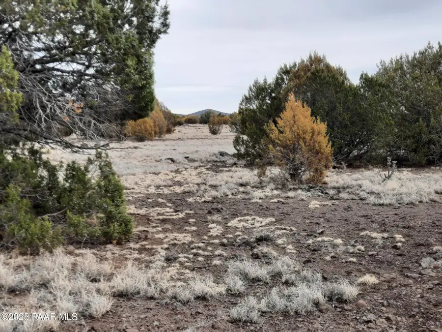 Lot 1359 Off Last Chance Rd, Seligman, AZ 86337 - Image #2
