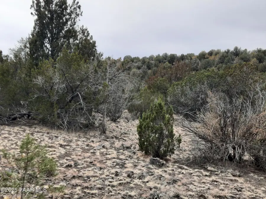 Lot 1359 Off Last Chance Rd, Seligman, AZ 86337 - Image #3