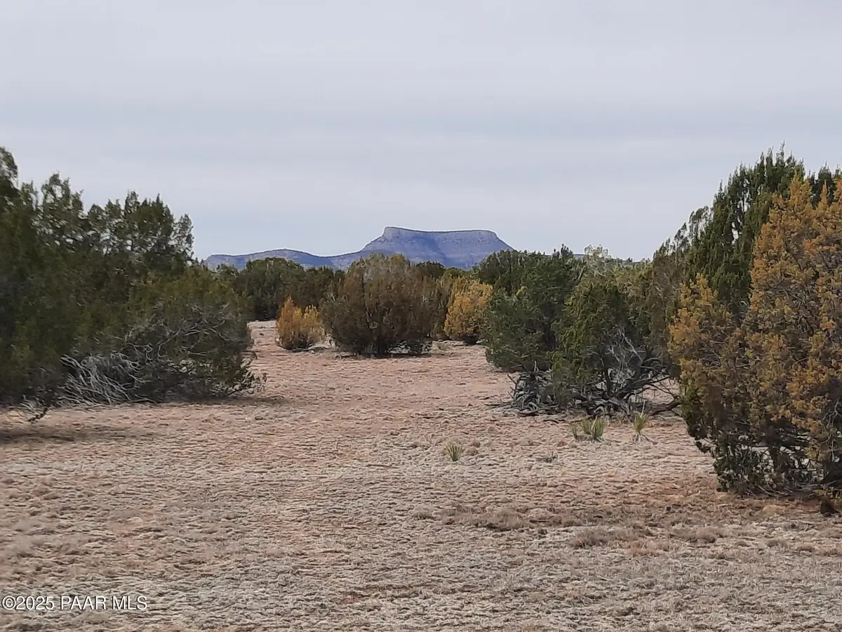 Lot 1320 Skedaddle Trail, Seligman, AZ 86337 - Image #1