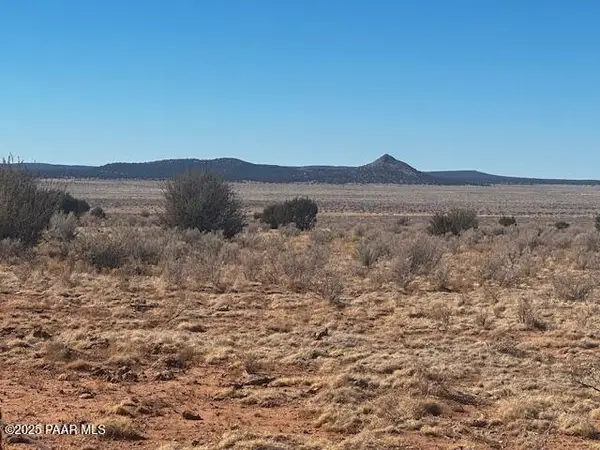 00 NE Double Back Drive, Seligman, AZ 86337