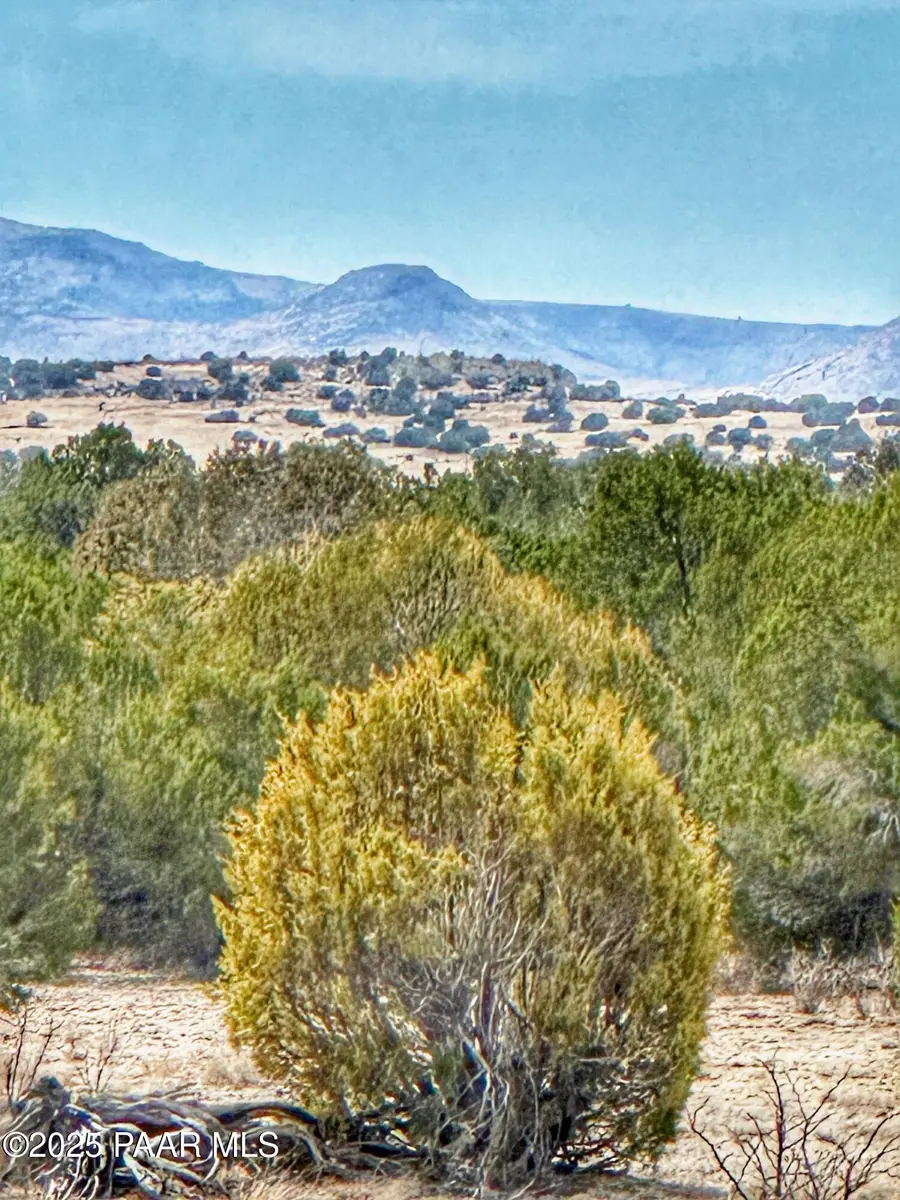 01 Skedaddle, Seligman, AZ 86337 - Image #2