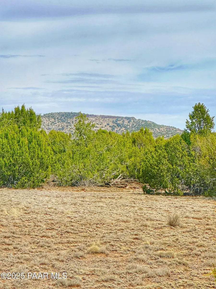 01 Skedaddle, Seligman, AZ 86337 - Image #3