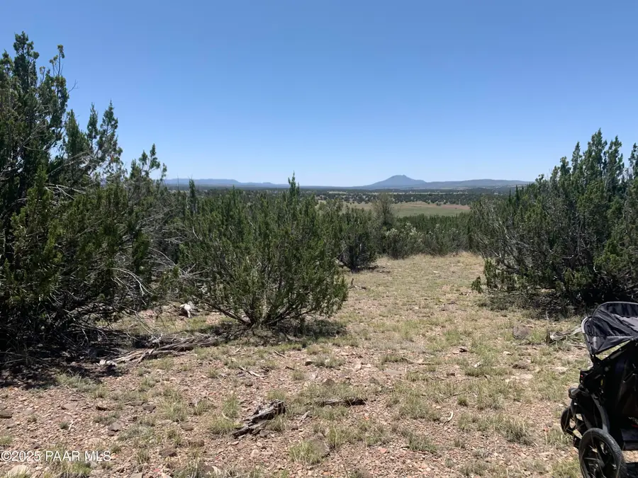 37925 W Raptor Road, Seligman, AZ 86337 - Image #2