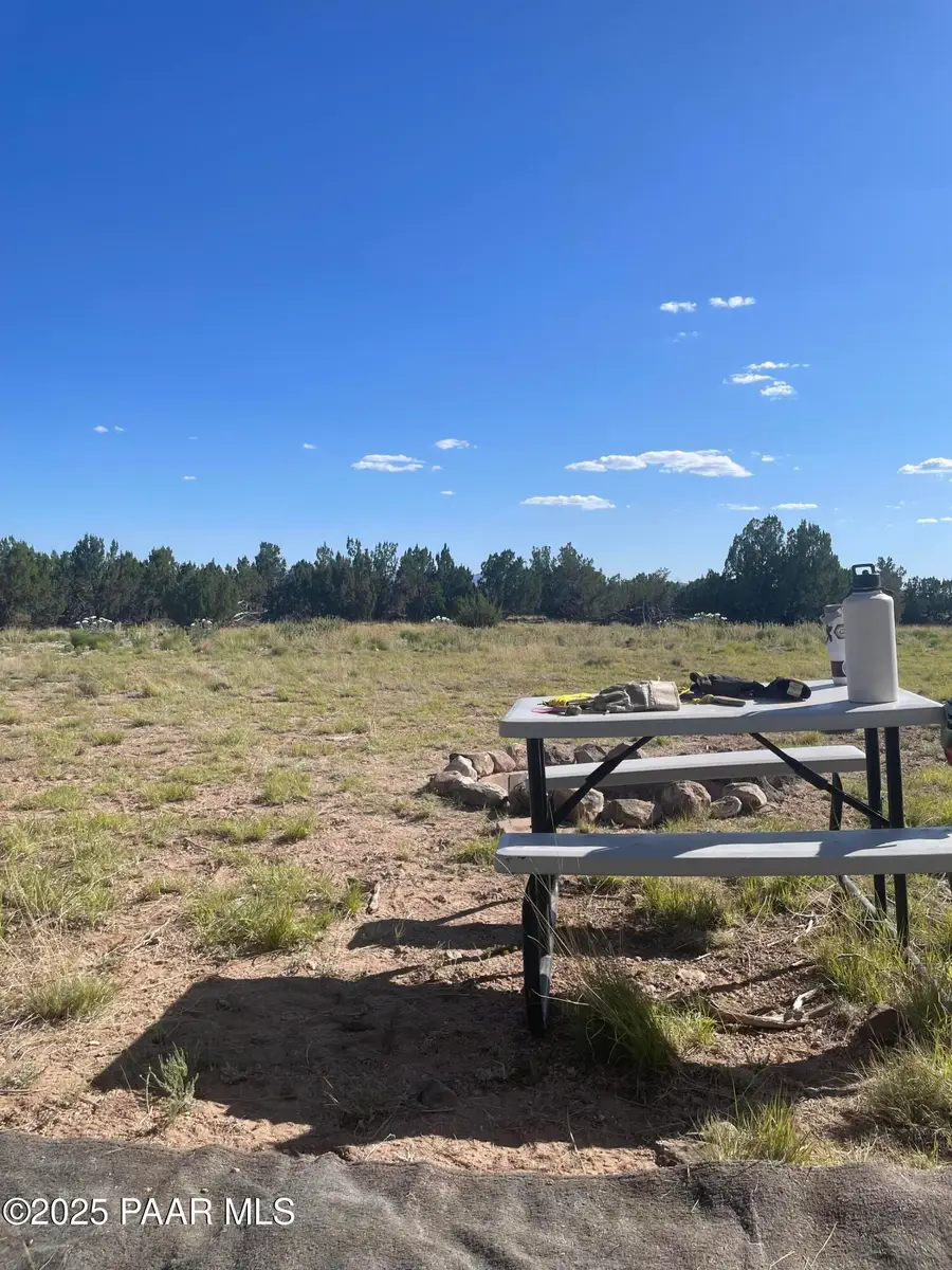 37925 W Raptor Road, Seligman, AZ 86337 - Image #3