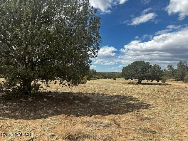 00 Antler Trail, Seligman, AZ 86337 - Image #1