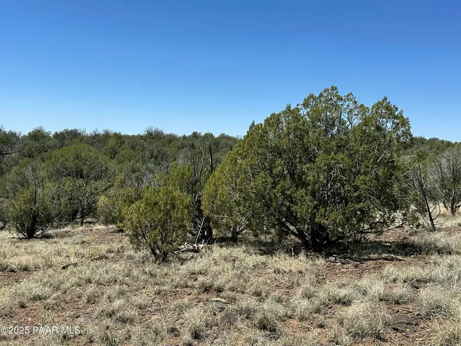 1422 N Murdo Way, Williams, AZ 86046 - Image #3