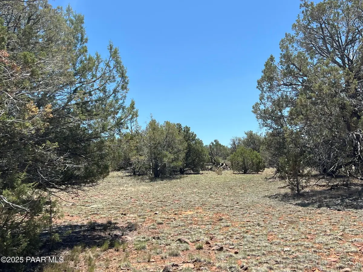 61 Norma Sw4 Road, Ash Fork, AZ 86320 - Image #1
