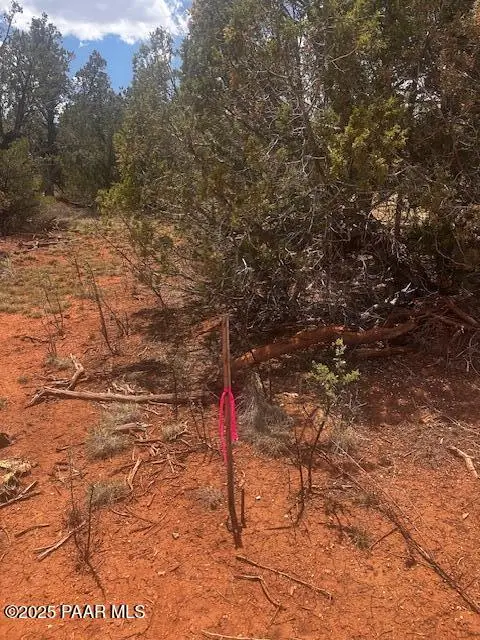 32941 Montecito Lane, Seligman, AZ 86337 - Image #3