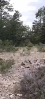 0 Tall Pine Trail, Prescott, AZ 86303 - Image #3