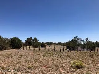 0 Parcel # 301-31-064a & B, Seligman, AZ 86337 - Image #1