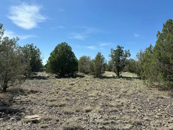 124 Dry Gulch, Seligman, AZ 86337