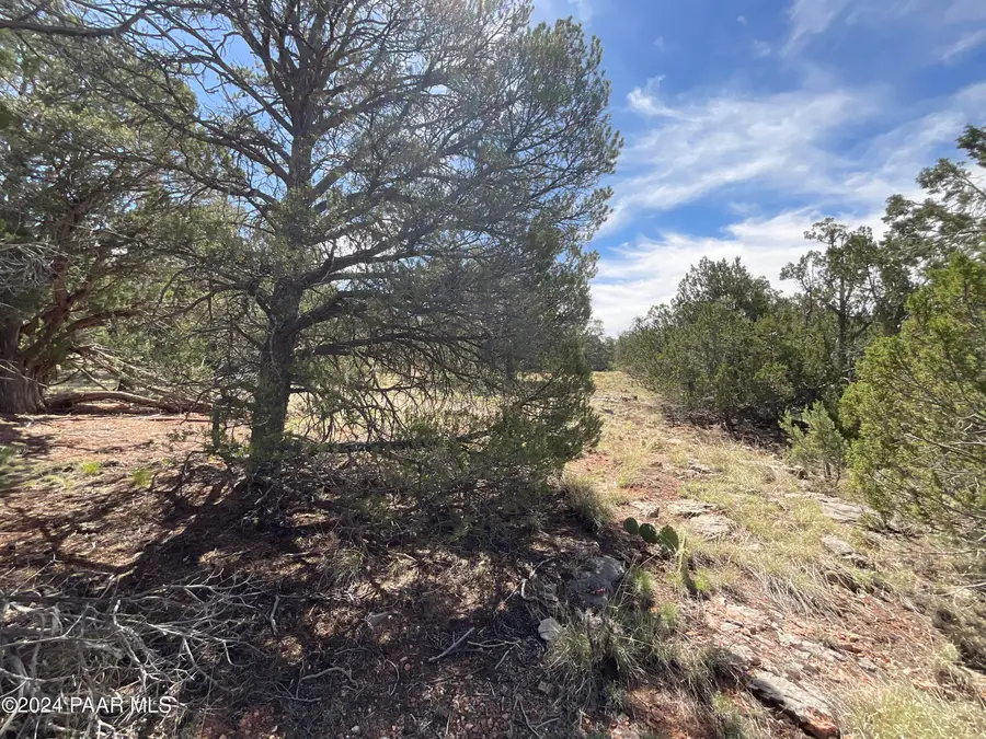 Lot 162 Forest Acres, Seligman, AZ 86337 - Image #2