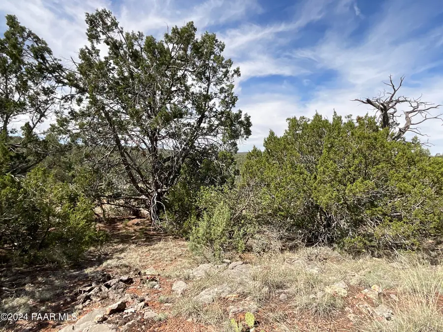 Lot 162 Forest Acres, Seligman, AZ 86337 - Image #3