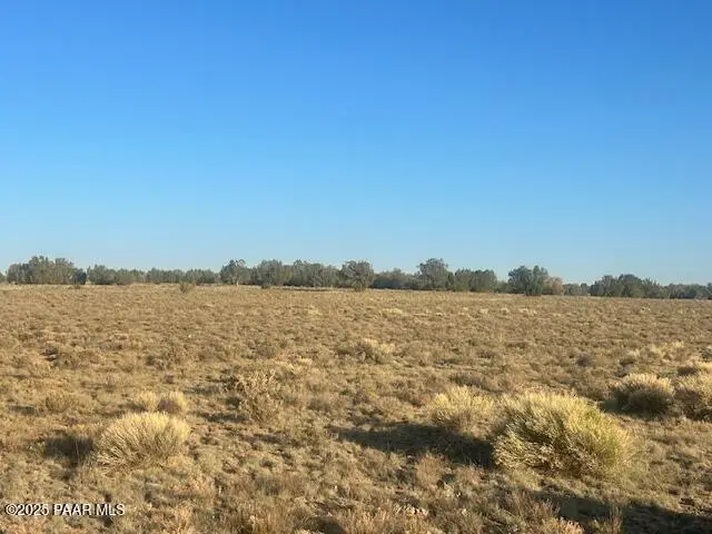 349ne Rocky Top Road, Seligman, AZ 86337 - Image #2