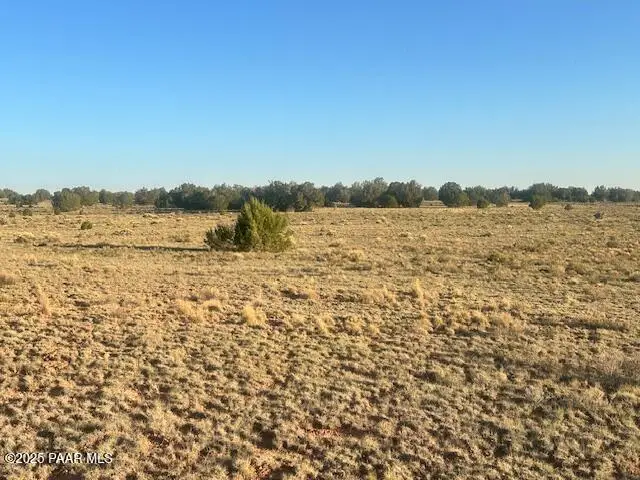 349se Rocky Top Road, Seligman, AZ 86337 - Image #2