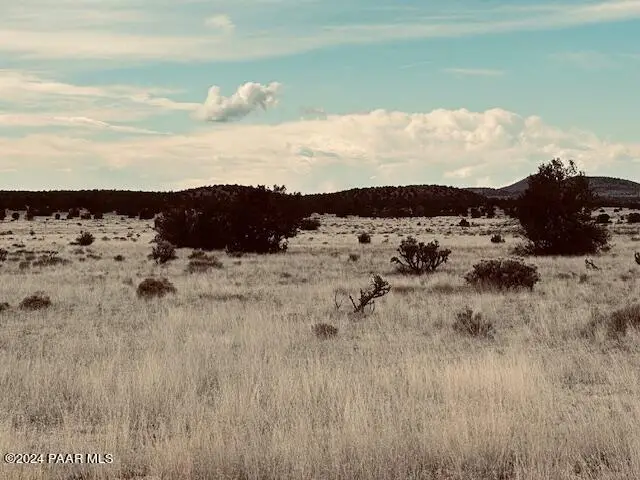 424nw Deliverance Road, Seligman, AZ 86337 - Image #3