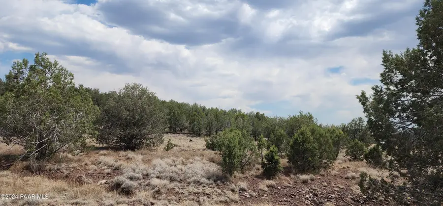 2544 N Double A Rnch Road, Ash Fork, AZ 86320 - Image #3