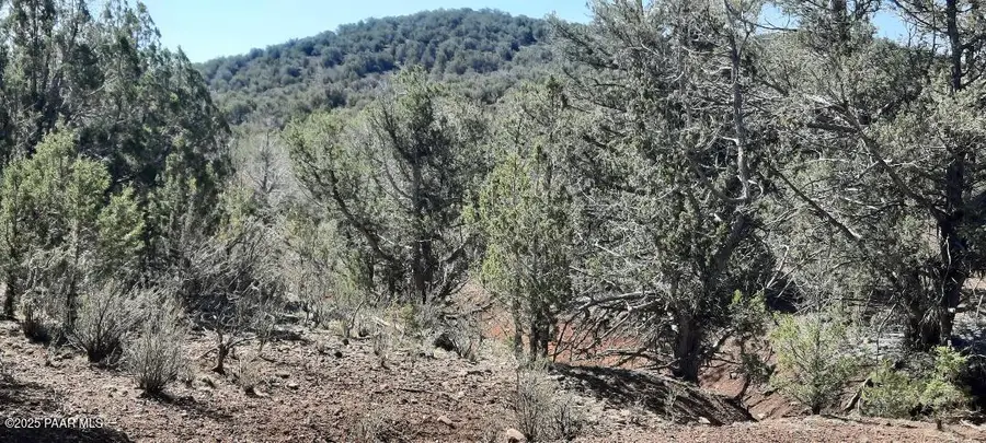 166 W2 Westwood Ranch, Williams, AZ 86046 - Image #3