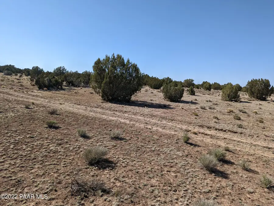 Xxx Off Jolly Rd, Seligman, AZ 86337 - Image #3