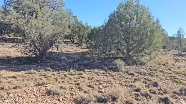 54593 Thunderbird Lane, Seligman, AZ 86337