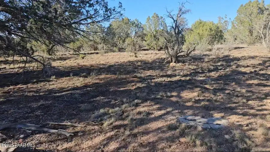 54593 Thunderbird Lane, Seligman, AZ 86337 - Image #3