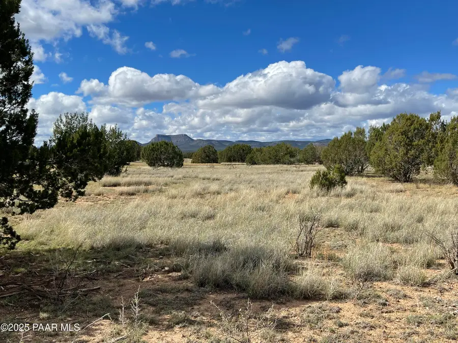 0 Honey Bee Lane, Seligman, AZ 86337 - Image #3