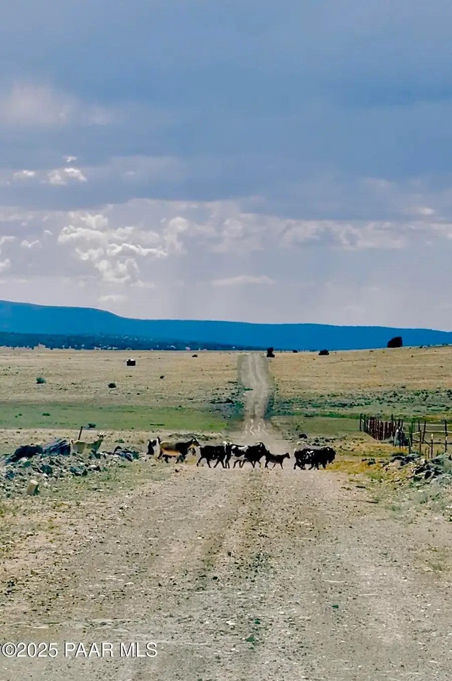 22400 W Jabin Road, Seligman, AZ 86337 - Image #3