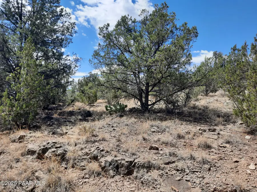 52852 N Calle Campo, Seligman, AZ 86337 - Image #3