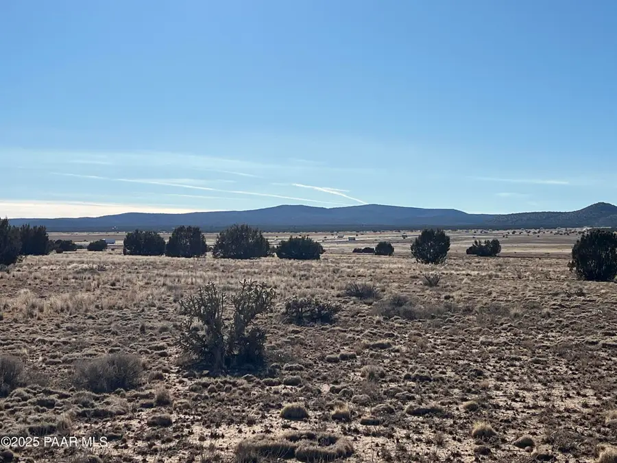 53402 N. Carlita Dr., Seligman, AZ 86337 - Image #3