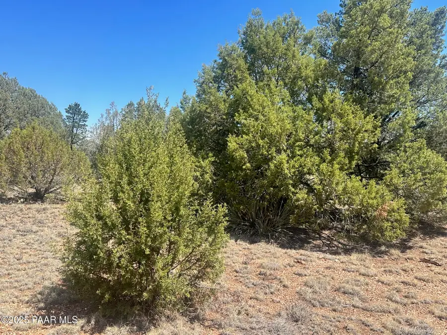 32970 Forest Lane, Seligman, AZ 86337 - Image #3