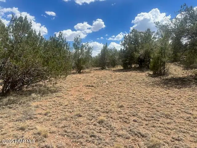 51739 N Cisne Circle, Seligman, AZ 86337 - Image #2