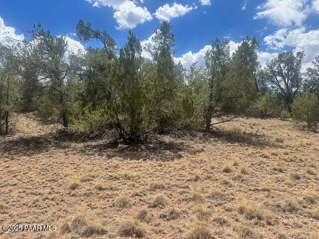 51739 N Cisne Circle, Seligman, AZ 86337 - Image #3